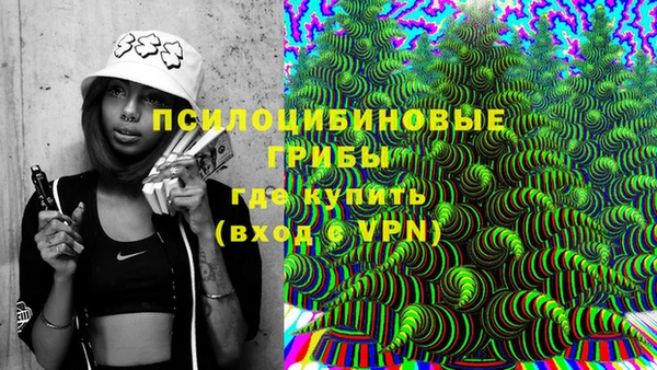 шишки Бугульма