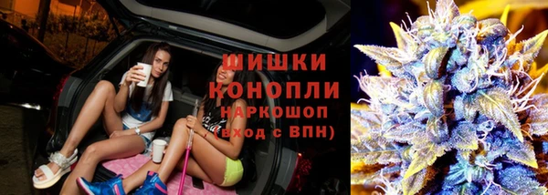 Альфа ПВП Богородицк